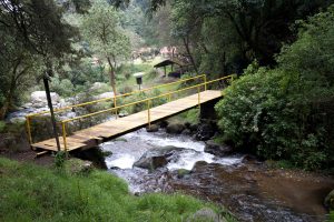 Los Dinamos: Un Oasis Natural en el Corazón de la Ciudad de México